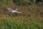 GWE_LM_220921e.jpg