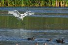 GWE_LM_220921h.jpg