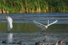 GWE_LM_220921i.jpg