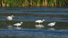 GWE_LM_220921s.jpg