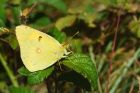 clouded_Noirmoutier_230622a.jpg