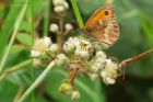 Filename=gatekeeper_HB_280723a.jpg
Filesize=639KB
Dimensions=1300x867
Date added=Aug 28, 2025 gatekeeper_HB_280723a.jpg